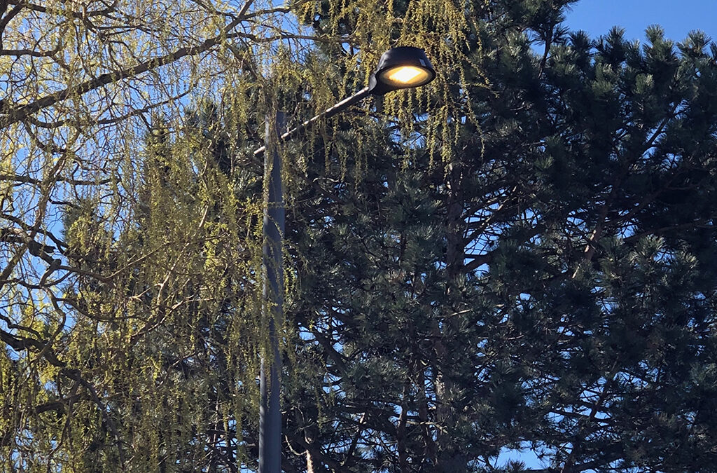 Scandinavian style street luminaires wide variety of optics
